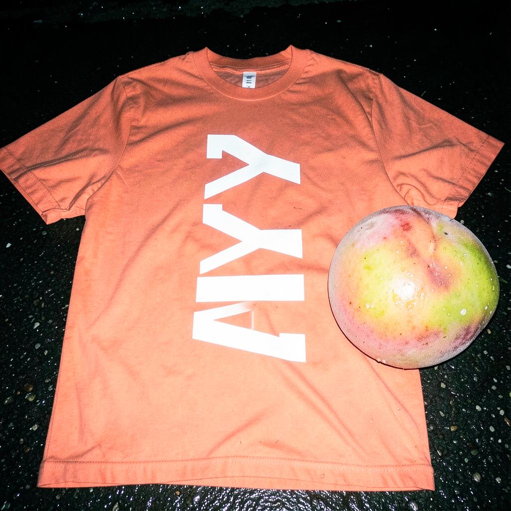 Coral ZYLA t-shirt laid on wet pavement next to a giant peach